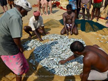 Fishing with net, Chowara Beach,_DSC_9591_H600